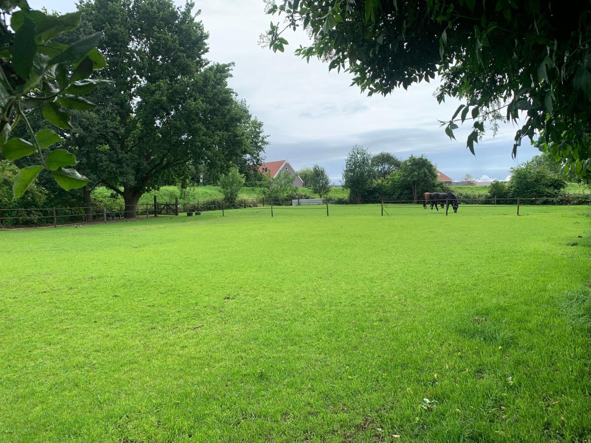 Luxury Guest House - Eik Aan De Dijk Aalst Dış mekan fotoğraf