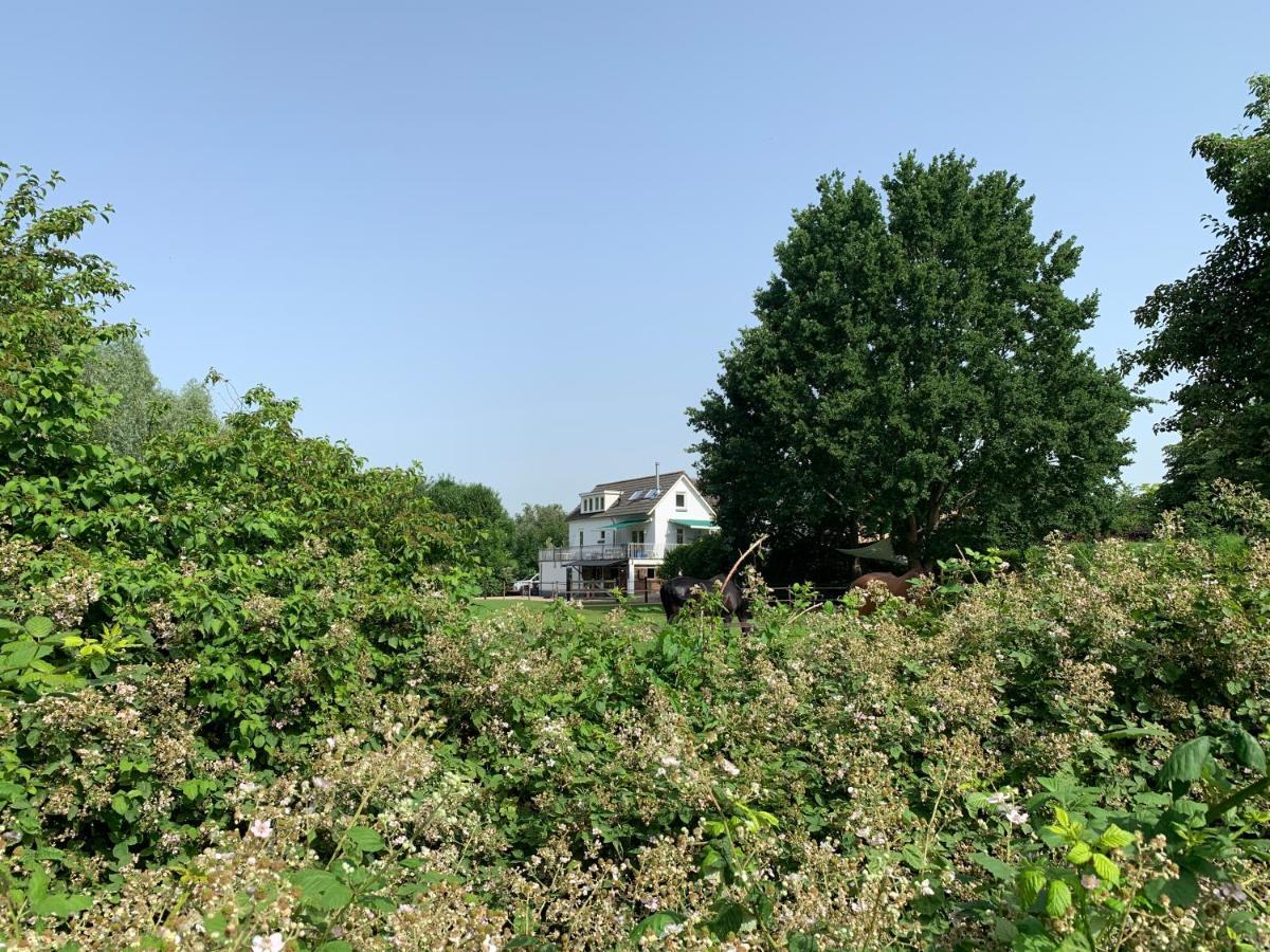 Luxury Guest House - Eik Aan De Dijk Aalst Dış mekan fotoğraf